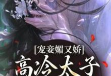 宠妾媚又娇,高冷太子为她失了魂宁宁萧璲,宠妾媚又娇,高冷太子为她失了魂在线无弹窗阅读-推书机