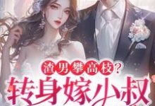 小说完整版《渣男攀高枝?转身嫁小叔被宠哭》免费阅读-推书机