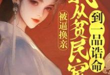 哪里能找到被逼换亲,我从贫民窟到一品诰命小说的最新更新和免费章节?-推书机