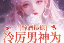 在线免费阅读醉酒误撩!冷厉男神为她沦陷情海完整小说-推书机