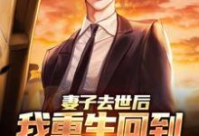 小说《妻子去世后，我重生回到高考那年》在线章节阅读-推书机