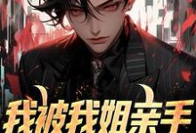 完整版的我被我姐亲手送进夜总会小说在哪里可以免费读到？-推书机