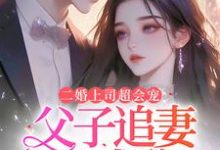 二婚上司超会宠,父子追妻哭成狗这本小说怎么样?免费在线阅读试试-推书机