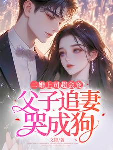 二婚上司超会宠，父子追妻哭成狗这本小说怎么样？免费在线阅读试试