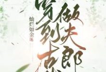 穿到古代做夫郎免费阅读,穿到古代做夫郎许明王良-推书机