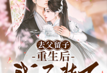 去父留子,重生后我不装了章节免费在线阅读,林婉儿裴正卿完结版-推书机