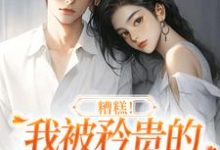 沈南意谢霄北小说《糟糕！我被矜贵的大小姐缠上了》在线阅读-推书机