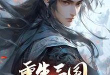 求重生三国,开局黄巾起义小说的全文免费阅读链接-推书机