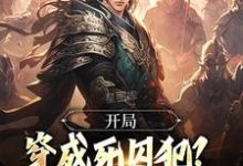 开局穿成死囚犯?别急,我能称王小说,开局穿成死囚犯?别急,我能称王在线阅读-推书机