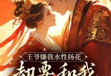 王爷嫌我水性扬花,却要和我假成婚小说无弹窗阅读的网站推荐-推书机