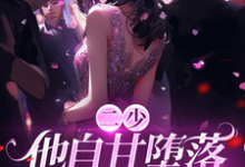 完结版《二少,他自甘堕落,沦为裙下臣!》章节目录在线阅读-推书机