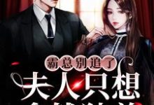 霸总别追了，夫人只想拿钱独美这本小说怎么样？免费在线阅读试试-推书机