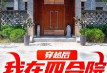 穿越后,我在四合院称霸天下完整版小说,穿越后,我在四合院称霸天下免费阅读-推书机