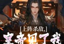 完结版《上阵杀敌,皇帝见了我都得低头》免费阅读-推书机