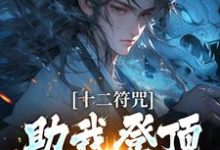 十二符咒助我登顶仙界巅峰苏青山白一鸣,十二符咒助我登顶仙界巅峰章节在线阅读-推书机