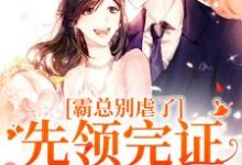霸总别虐了！先领完证再打渣男这本小说在哪里可以看？哪里有免费试读章节？-推书机