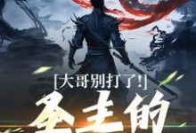 《大哥别打了!圣主的心都碎了》全集免费在线阅读(陈寻)-推书机