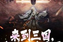 《来到三国,这乱世我来平》小说免费阅读完整版-推书机