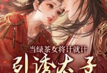 哪里能找到当绿茶女将计就计,引诱太子沦陷后小说的全部章节?-推书机