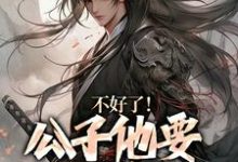 不好了!公子他要挑战皇权蓝武朱元璋小说大结局免费试读-推书机