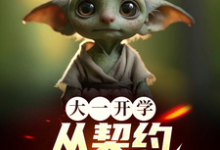 林峰小布小说免费阅读完整版-推书机