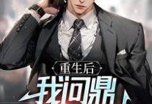 小说《权力巅峰:从女领导秘书开始》完整版章节免费阅读-推书机