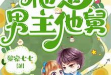 宋青苗韩遇小说七零军婚:搞错啦,他是男主他舅章节免费阅读-推书机