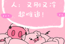 寻找程队要追的男人:又刚又冷超难追小说的最新更新章节-推书机