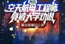 完整版《科技:空天航母工程师,竟被大学劝退?》小说免费阅读-推书机