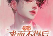 《【快穿】求而不得后他黑化了》小说叶临章节章节免费在线阅读-推书机