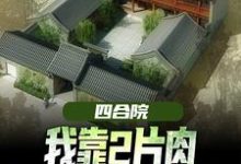 王建安秦淮茹小说免费阅读完整版-推书机