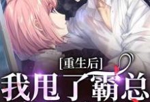 《重生后，我甩了霸总享单身夜》小说章节列表免费试读，宁秋棠江晟小说在线阅读-推书机