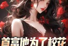 《首富他为了校花,为全校做贡献》小说沈译李幼衣章节章节免费在线阅读-推书机