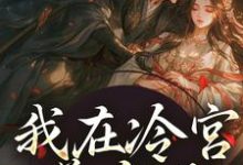 我在冷宫养皇子这本小说怎么样?免费在线阅读试试-推书机