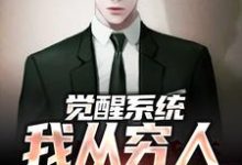 完结版《觉醒系统:我从穷人变富豪》章节阅读-推书机