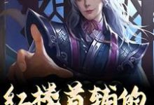 红楼首辅的励志人生这本小说怎么样?免费在线阅读试试-推书机