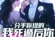寻找分手你提的,我死遁后你哭什么?小说的最新更新章节-推书机
