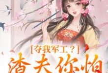夺我军工?渣夫你怕是没命享凌朝歌南宫阎小说完结版章节在线阅读-推书机