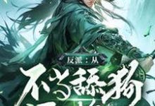 反派:从不当舔狗开始苏辰林云梦小说在线章节免费阅读-推书机