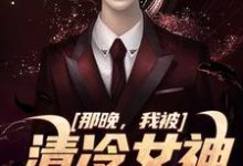 在线寻找那晚,我被清冷女神强吻了小说的无删减版本-推书机