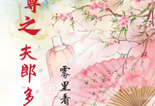 南希小说免费阅读完整版-推书机