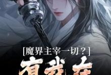 哪里能找到魔界主宰一切?有我在谁敢造次小说的全部章节?-推书机
