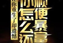 《让你重生了却遗憾,你怎么还顺便暴富了?》小说章节列表免费试读,李毅唐雪小说在线阅读-推书机