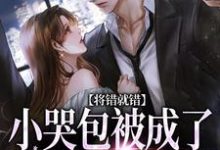将错就错：小哭包被成了大佬心尖宠小说的无弹窗阅读体验，寻找免费阅读网站-推书机