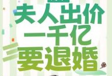 完整版的薄爷,夫人出价一千亿要退婚小说在哪里可以免费读到?-推书机