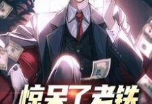 小说《惊呆了老铁，他又被提拔了》章节免费阅读-推书机