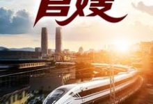 上任后，轰动京圈名媛张元庆柳婷小说完结版章节在线阅读-推书机