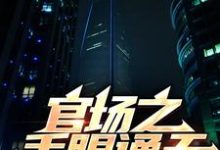 官场之手眼通天完整版小说，官场之手眼通天最新章节-推书机