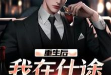 免费看重生后,我在仕途一路狂飙小说的网站有哪些?-推书机