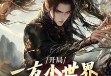 开局一方小世界,我靠系统逆袭李长枫林九,开局一方小世界,我靠系统逆袭章节在线阅读-推书机